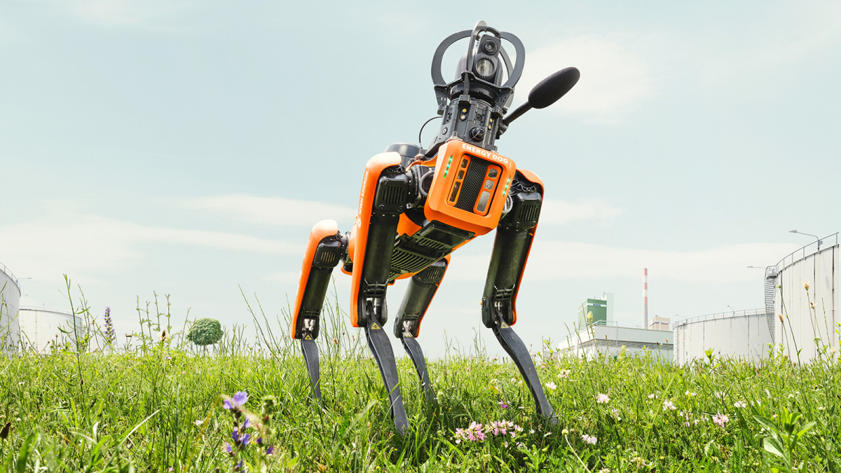 mladen penev | WE-Dog