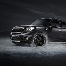 black mini winter