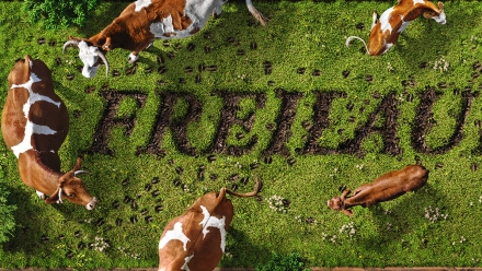 JaNat Tierwohl Cow Animation