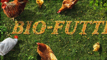 jaNat Tierwohl Chicken Animation