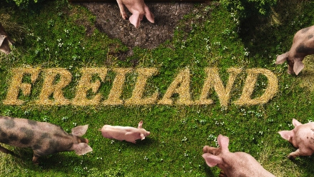 JaNat Tierwohl Pig Animation