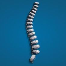 Deuter Spine