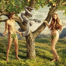 evonik adam & eve