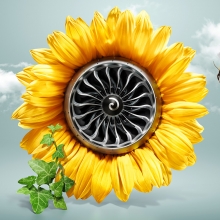 ge sunflower