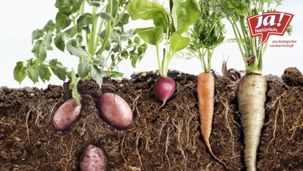 JaNat Gesunder Boden Animation