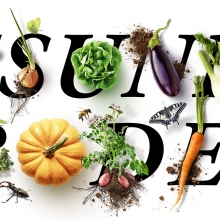 JaNat Gesunder Boden Visual