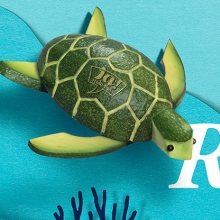 JaNat MeerVonPlastik Underwater