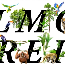 JaNat Palmölfrei Plants