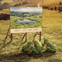 migros animal environment frog