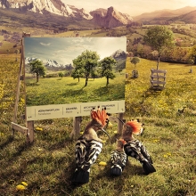 migros animal environment woodpecker