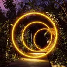 tropical circles