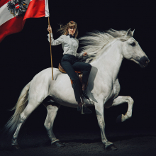 noch lange kien lipizzaner