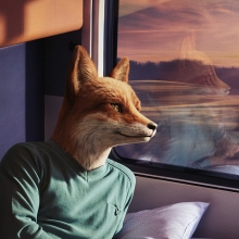 Fox Papa