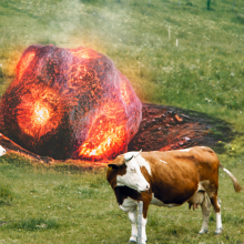OE Werbung cows
