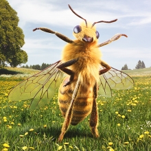 Bee Standing