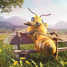 Bee on bench