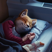 Fox baby