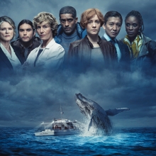 schwarm jumping whale