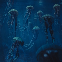 schwarm jellyfish